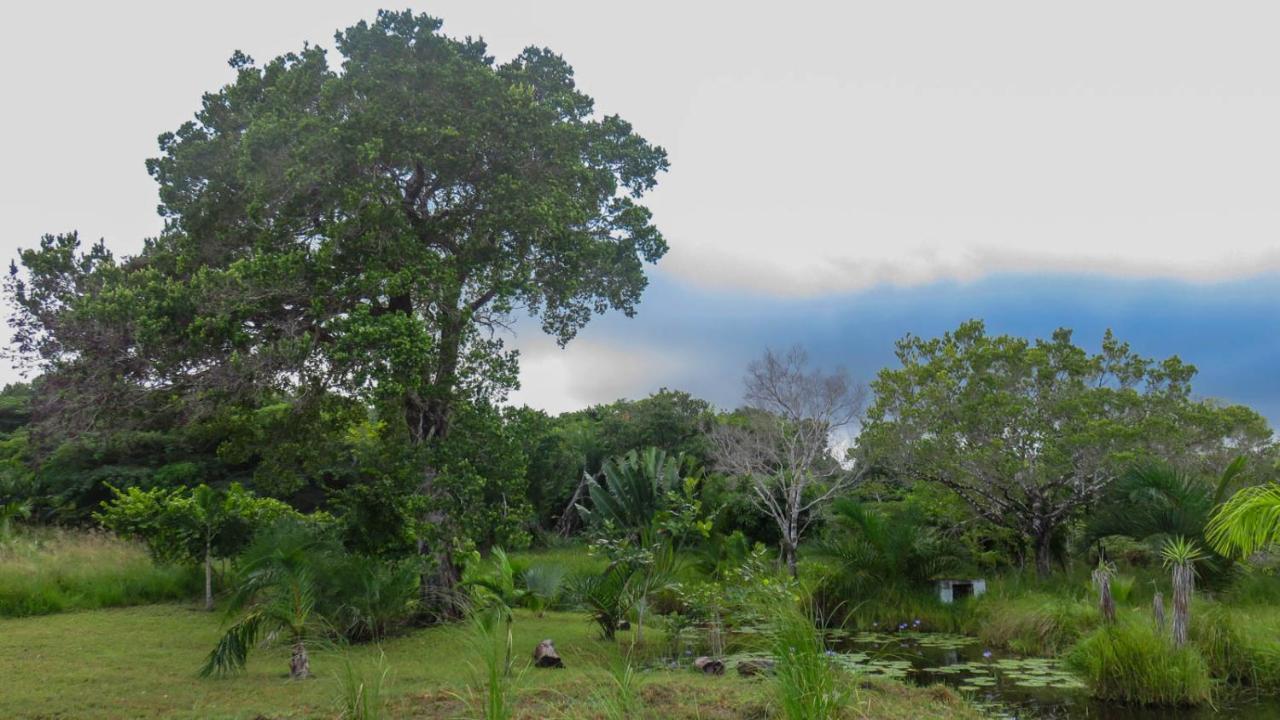 Lodge Umusa KwaMazambane Exterior foto